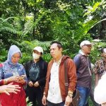 Pengembangan Pangan Terintegrasi di Sulteng