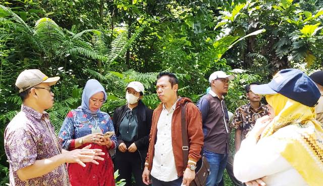 Pengembangan Pangan Terintegrasi di Sulteng