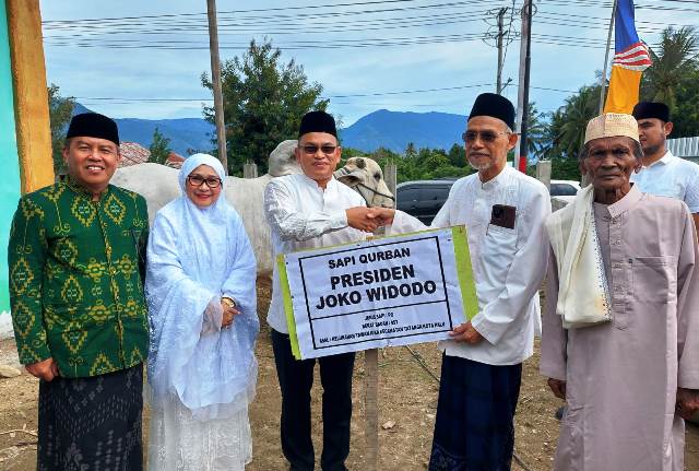 Sapi Kurban Presiden