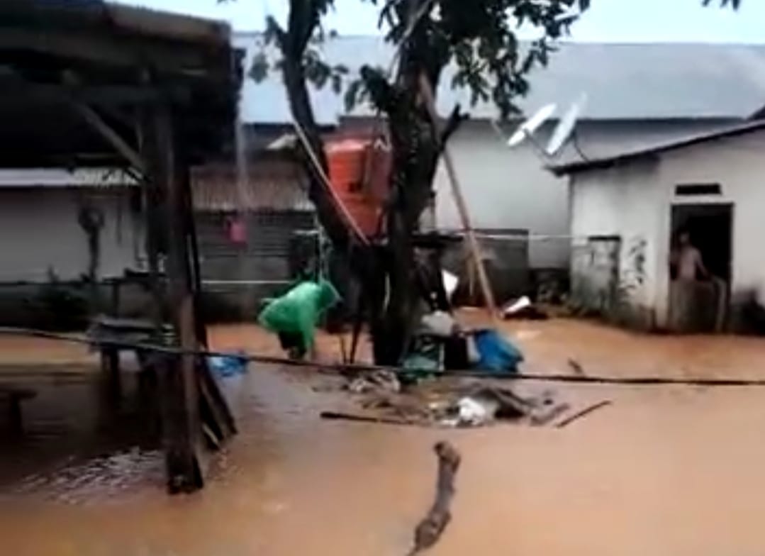 WhatsApp Image 2022-07-06 at 17.31.52 JATAM Sulteng