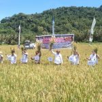 Wakil Bupati Tolitoli