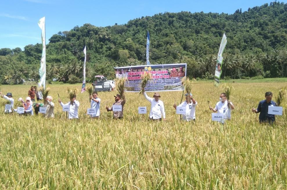 Wakil Bupati Tolitoli