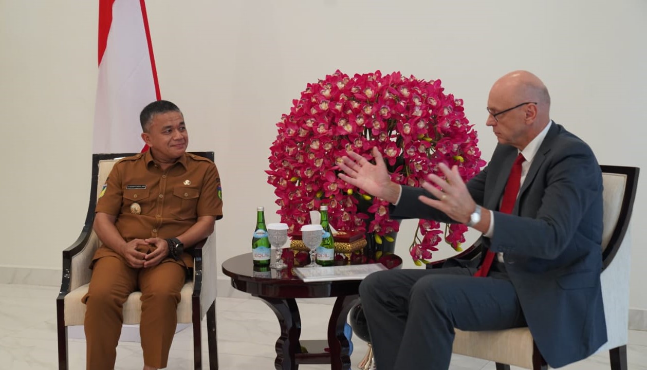 Duta Besar Republik Ceko