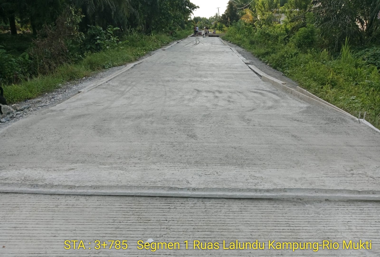 Rio Mukti 1 Desa Rio Mukti