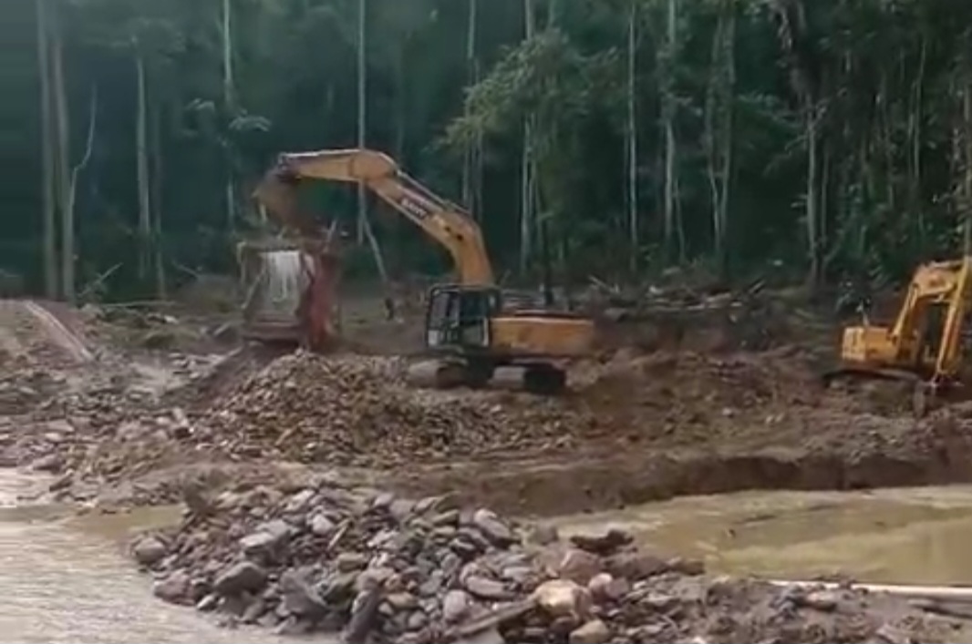 Screenshot_20240804_135312_WhatsApp Screenshot 20240804 135312 WhatsApp