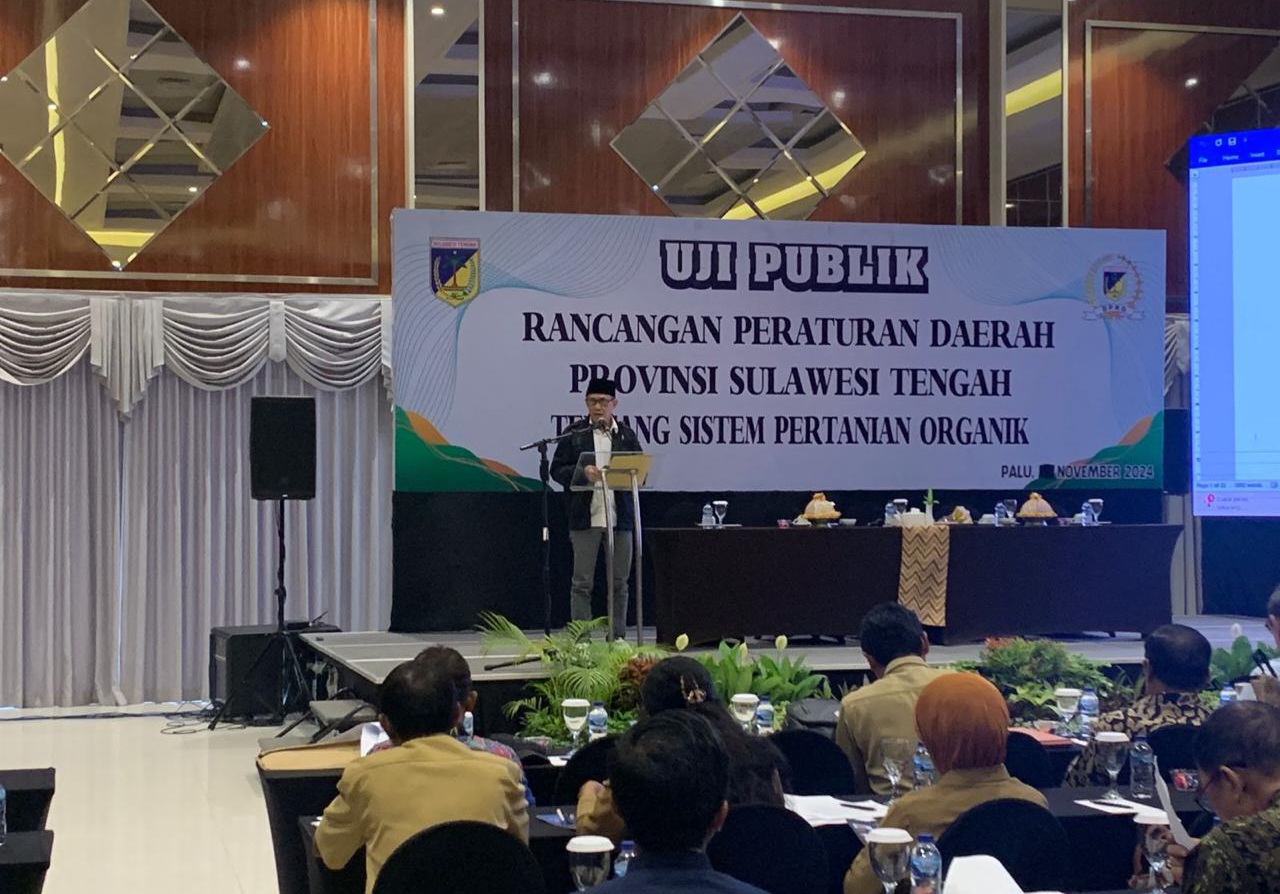 IMG-20241127-WA0051 IMG 20241127 WA0051