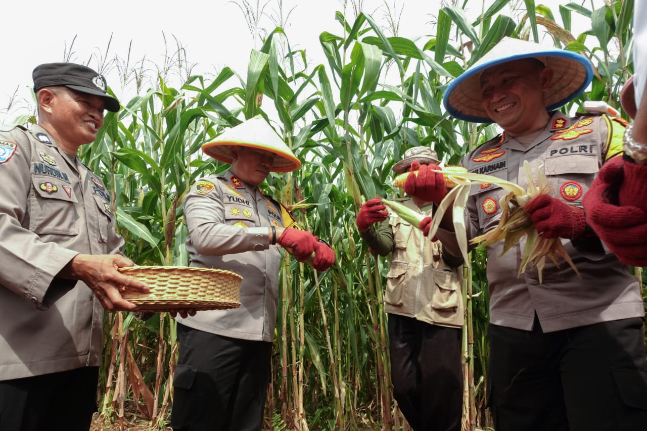 IMG-20250210-WA0197 IMG 20250210 WA0197