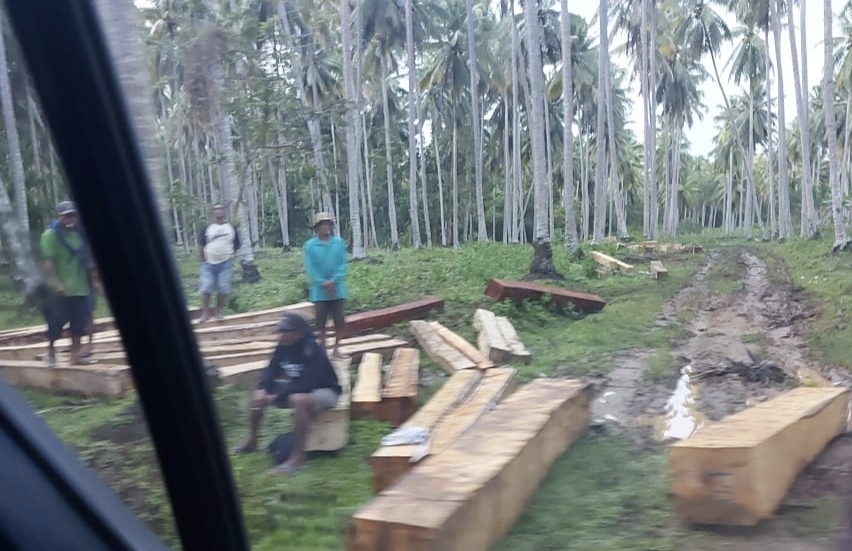Kawasan Pangan Nusantara