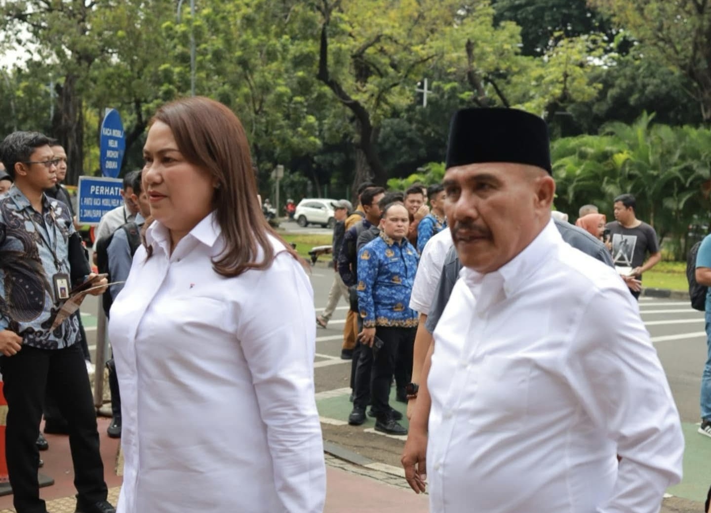 IMG_20250217_160449 Vera Elena Laruni