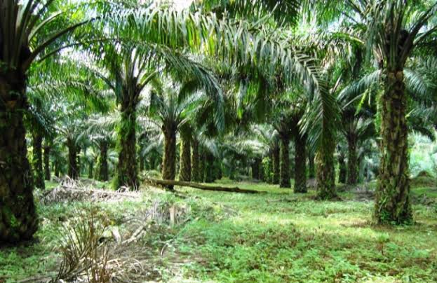 images (35) images 35