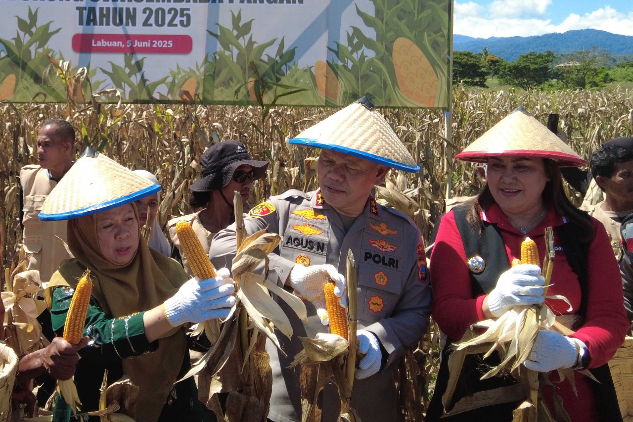 IMG-20250605-WA0344 IMG 20250605 WA0344