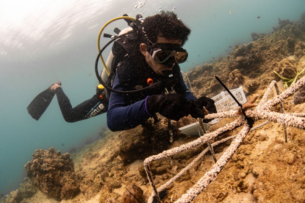 Screenshot 20250728 185055 Samsung Internet