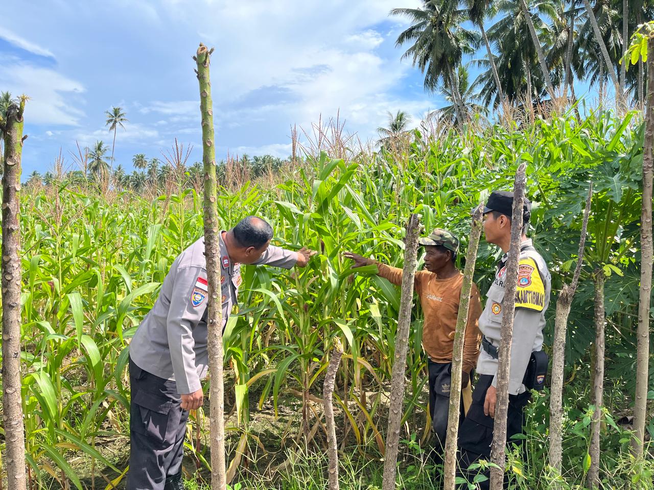 IMG-20251013-WA0092 IMG 20251013 WA0092