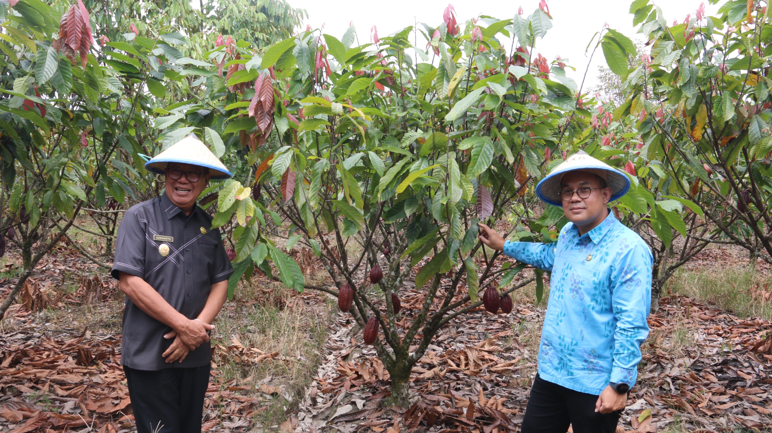 IMG-20251019-WA0174 IMG 20251019 WA0174