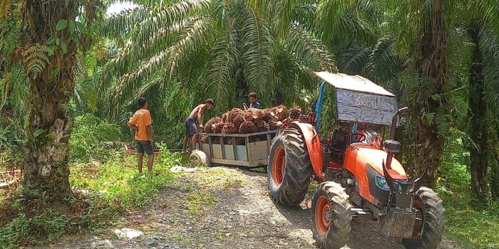 IMG-20260107-WA0285 IMG 20260107 WA0285